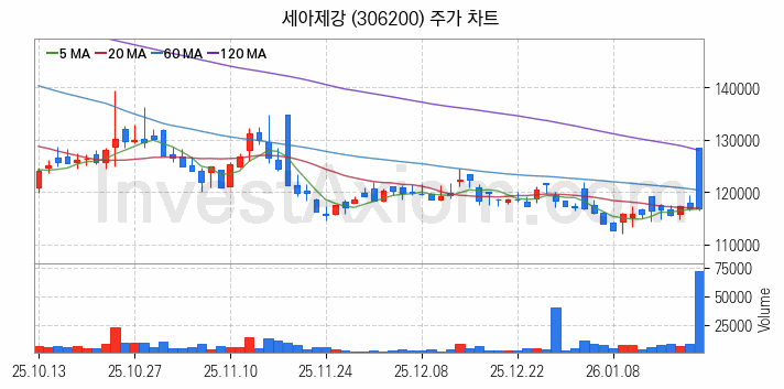 강관업체 관련주 세아제강 주식 종목의 분석 시점 기준 최근 일봉 차트