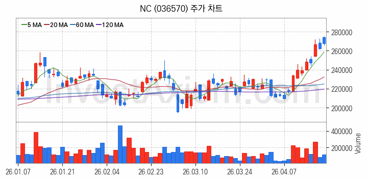게임 관련주 NC 주식 종목의 분석 시점 기준 최근 일봉 차트