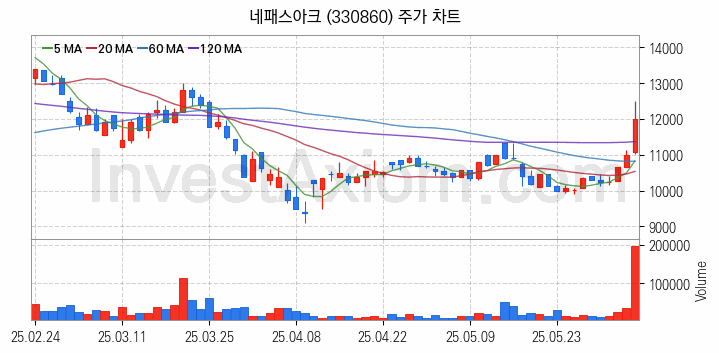 뉴로모픽 반도체 관련주 네패스아크 주식 종목의 분석 시점 기준 최근 일봉 차트