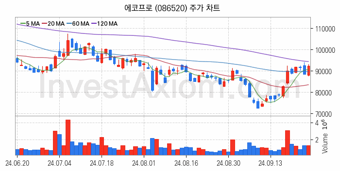 리튬 관련주 에코프로 주식 종목의 분석 시점 기준 최근 일봉 차트