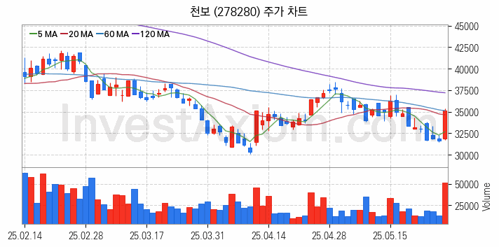 리튬 관련주 천보 주식 종목의 분석 시점 기준 최근 일봉 차트