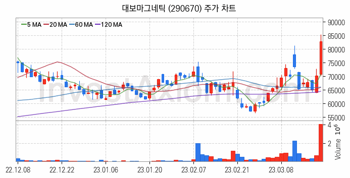 리튬 관련주 대보마그네틱 주식 종목의 분석 시점 기준 최근 일봉 차트