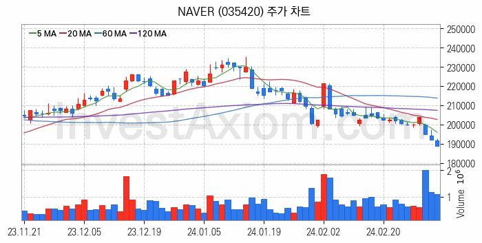 마이데이터 관련주 NAVER 주식 종목의 분석 시점 기준 최근 일봉 차트