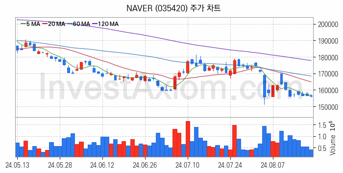 마이데이터 관련주 NAVER 주식 종목의 분석 시점 기준 최근 일봉 차트