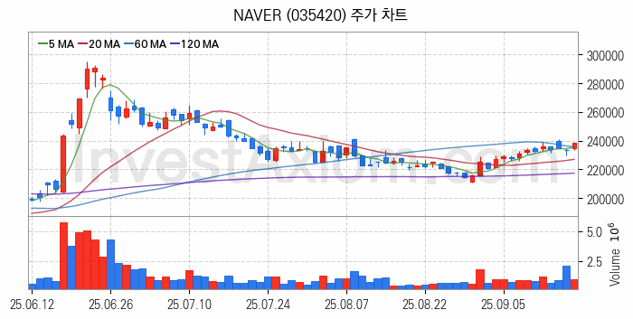 마이데이터 관련주 NAVER 주식 종목의 분석 시점 기준 최근 일봉 차트