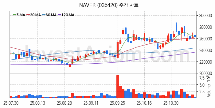 마이데이터 관련주 NAVER 주식 종목의 분석 시점 기준 최근 일봉 차트