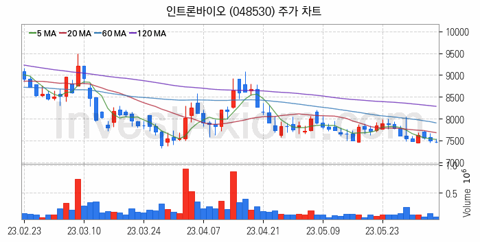 마이크로바이옴 관련주 인트론바이오 주식 종목의 분석 시점 기준 최근 일봉 차트