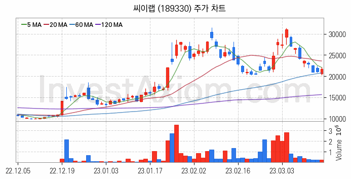 메타버스 관련주 씨이랩 주식 종목의 분석 시점 기준 최근 일봉 차트