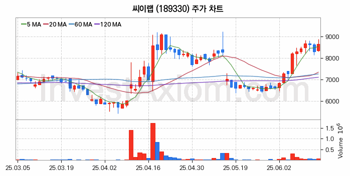메타버스 관련주 씨이랩 주식 종목의 분석 시점 기준 최근 일봉 차트