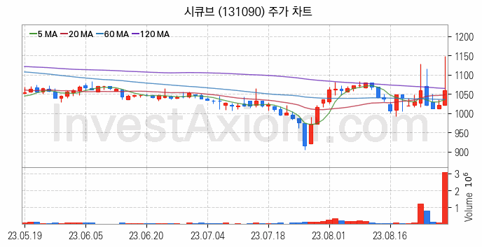 바이오인식 생체인식 관련주 시큐브 주식 종목의 분석 시점 기준 최근 일봉 차트