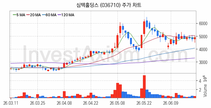 반도체기판 관련주 심텍홀딩스 주식 종목의 분석 시점 기준 최근 일봉 차트