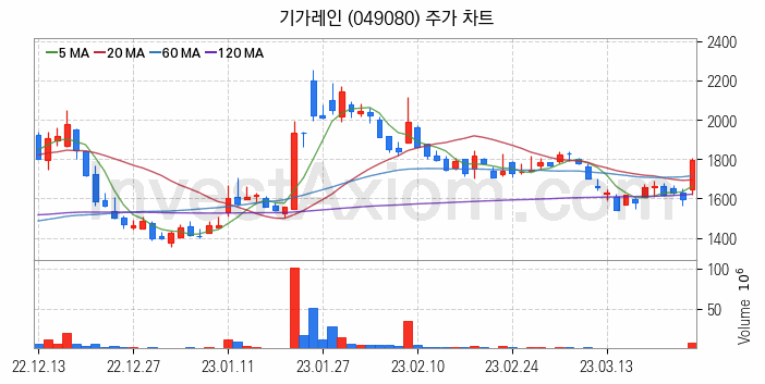 반도체 장비 관련주 기가레인 주식 종목의 분석 시점 기준 최근 일봉 차트