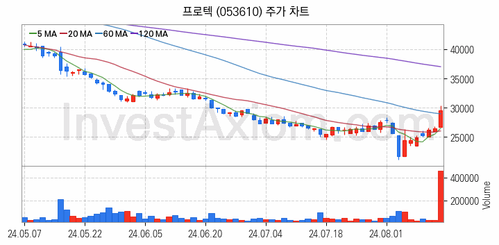 반도체 장비 관련주 프로텍 주식 종목의 분석 시점 기준 최근 일봉 차트