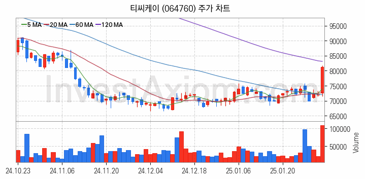 반도체 장비 관련주 티씨케이 주식 종목의 분석 시점 기준 최근 일봉 차트