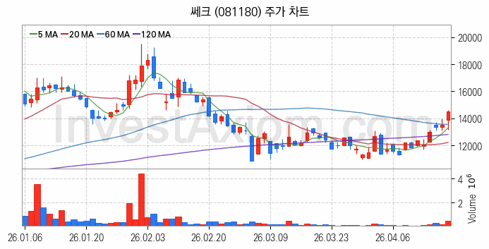반도체 장비 관련주 쎄크 주식 종목의 분석 시점 기준 최근 일봉 차트