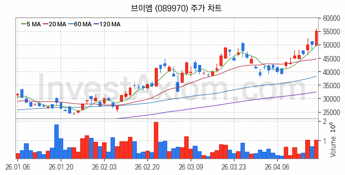반도체 장비 관련주 브이엠 주식 종목의 분석 시점 기준 최근 일봉 차트