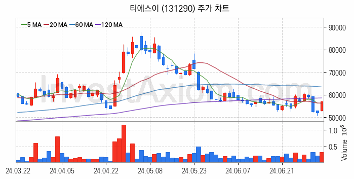 반도체 장비 관련주 티에스이 주식 종목의 분석 시점 기준 최근 일봉 차트