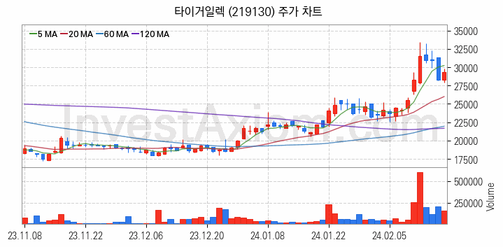 반도체 재료 부품 관련주 타이거일렉 주식 종목의 분석 시점 기준 최근 일봉 차트