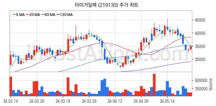 반도체 재료 부품 관련주 타이거일렉 주식 종목의 분석 시점 기준 최근 일봉 차트