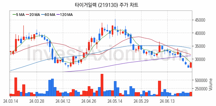 반도체 재료 부품 관련주 타이거일렉 주식 종목의 분석 시점 기준 최근 일봉 차트