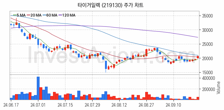 반도체 재료 부품 관련주 타이거일렉 주식 종목의 분석 시점 기준 최근 일봉 차트