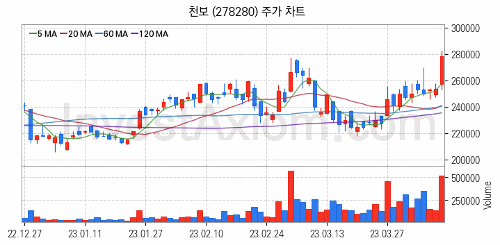 반도체 재료 부품 관련주 천보 주식 종목의 분석 시점 기준 최근 일봉 차트