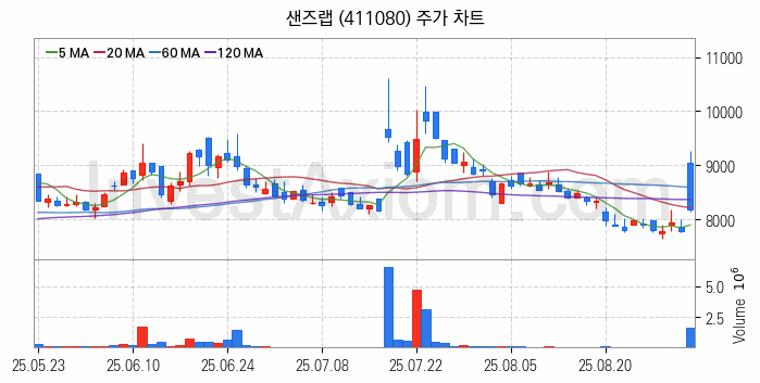 보안 관련주 샌즈랩 주식 종목의 분석 시점 기준 최근 일봉 차트
