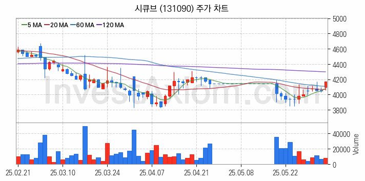 블록체인 관련주 시큐브 주식 종목의 분석 시점 기준 최근 일봉 차트