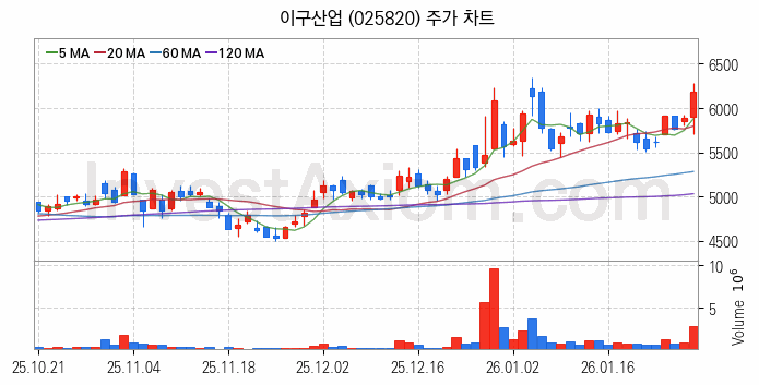 비철금속 관련주 이구산업 주식 종목의 분석 시점 기준 최근 일봉 차트