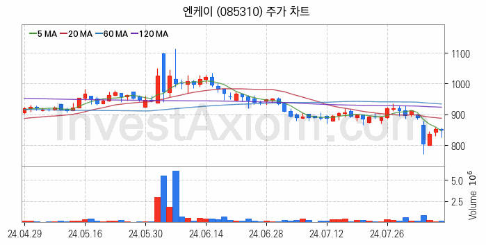 선박평형수 처리장치 관련주 엔케이 주식 종목의 분석 시점 기준 최근 일봉 차트