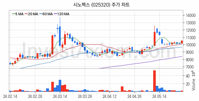 수자원 개선 관련주 시노펙스 주식 종목의 분석 시점 기준 최근 일봉 차트