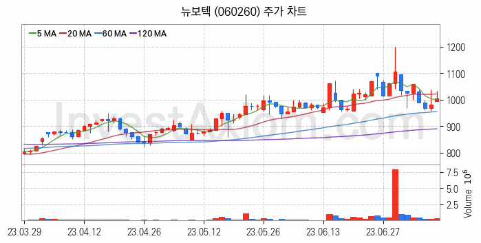 수자원 개선 관련주 뉴보텍 주식 종목의 분석 시점 기준 최근 일봉 차트