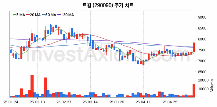 스마트팩토리 스마트공장 관련주 트윔 주식 종목의 분석 시점 기준 최근 일봉 차트
