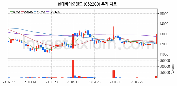 실버산업 관련주 현대바이오랜드 주식 종목의 분석 시점 기준 최근 일봉 차트