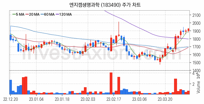 실버산업 관련주 엔지켐생명과학 주식 종목의 분석 시점 기준 최근 일봉 차트