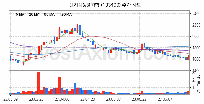 실버산업 관련주 엔지켐생명과학 주식 종목의 분석 시점 기준 최근 일봉 차트