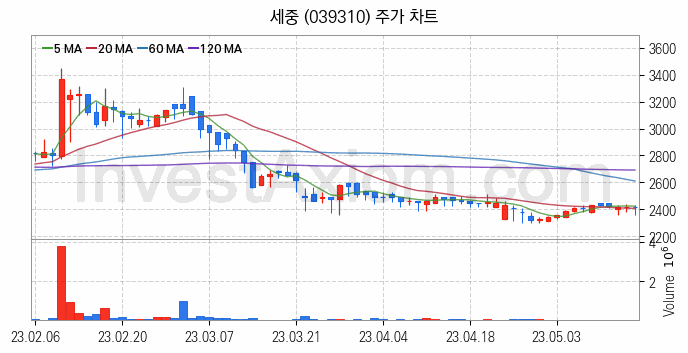 여행 관련주 세중 주식 종목의 분석 시점 기준 최근 일봉 차트