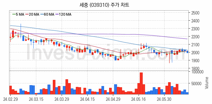 여행 관련주 세중 주식 종목의 분석 시점 기준 최근 일봉 차트