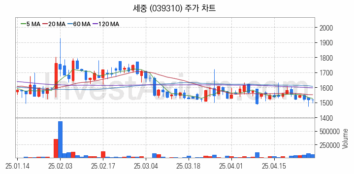 여행 관련주 세중 주식 종목의 분석 시점 기준 최근 일봉 차트