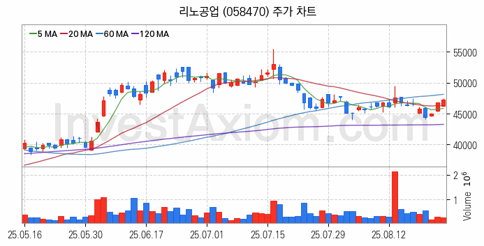 온디바이스 AI 관련주 리노공업 주식 종목의 분석 시점 기준 최근 일봉 차트
