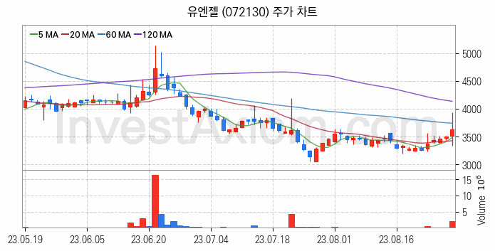 온라인 교육 관련주 유엔젤 주식 종목의 분석 시점 기준 최근 일봉 차트