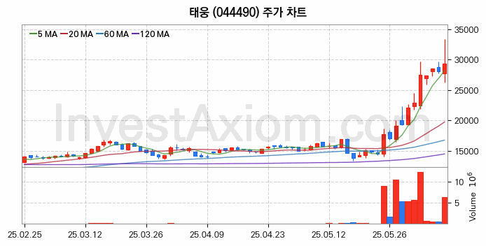 우주항공산업 관련주 태웅 주식 종목의 분석 시점 기준 최근 일봉 차트