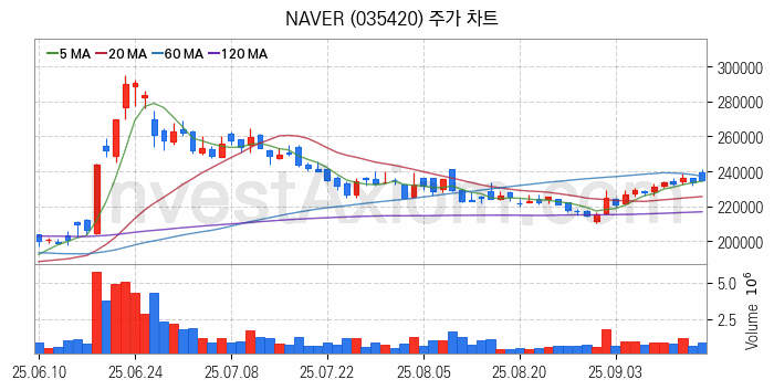 웹툰 관련주 NAVER 주식 종목의 분석 시점 기준 최근 일봉 차트