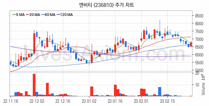 웹툰 관련주 엔비티 주식 종목의 분석 시점 기준 최근 일봉 차트