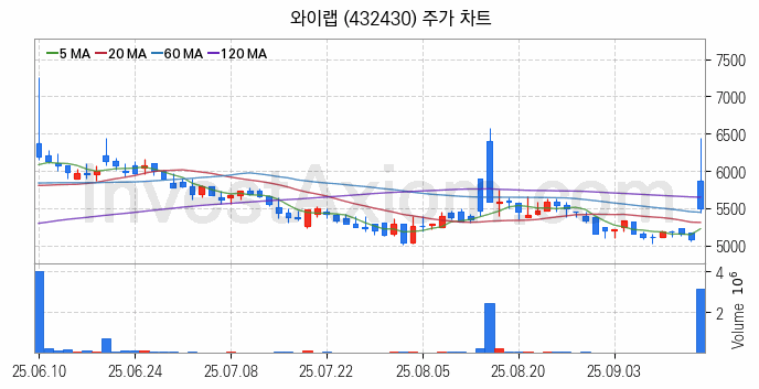 웹툰 관련주 와이랩 주식 종목의 분석 시점 기준 최근 일봉 차트