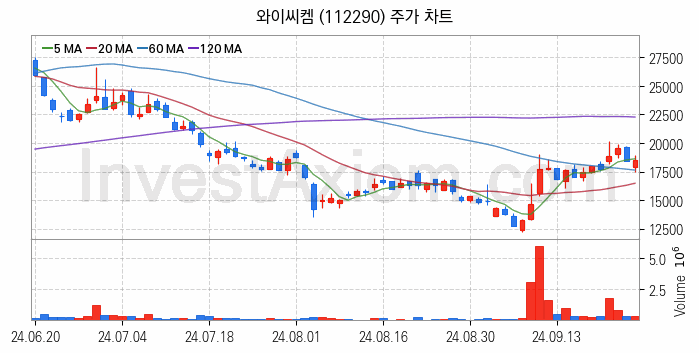 유리기판 관련주 와이씨켐 주식 종목의 분석 시점 기준 최근 일봉 차트