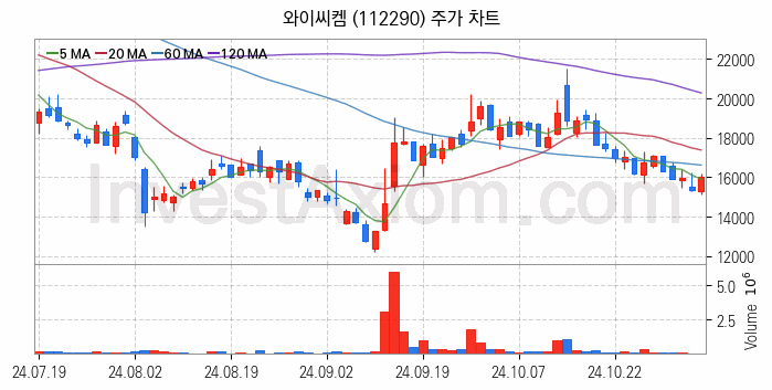 유리기판 관련주 와이씨켐 주식 종목의 분석 시점 기준 최근 일봉 차트