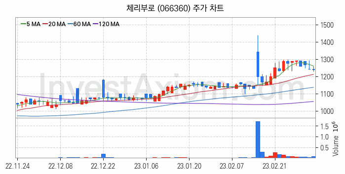 육계 관련주 체리부로 주식 종목의 분석 시점 기준 최근 일봉 차트