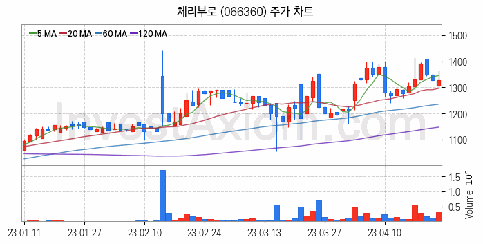 육계 관련주 체리부로 주식 종목의 분석 시점 기준 최근 일봉 차트