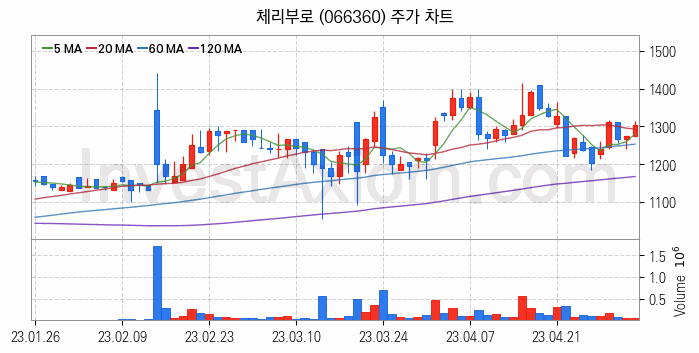 육계 관련주 체리부로 주식 종목의 분석 시점 기준 최근 일봉 차트